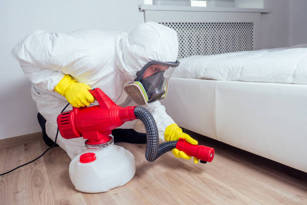 Pest Prevention Services in Big Stone Gap, VA