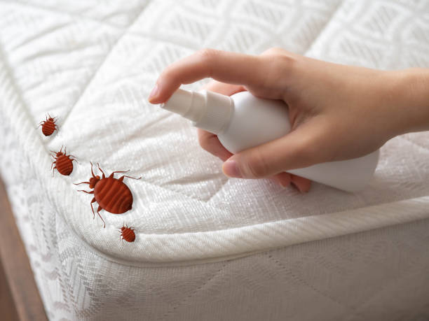 Best Commercial Pest Control Services  in Big Stone Gap, VA